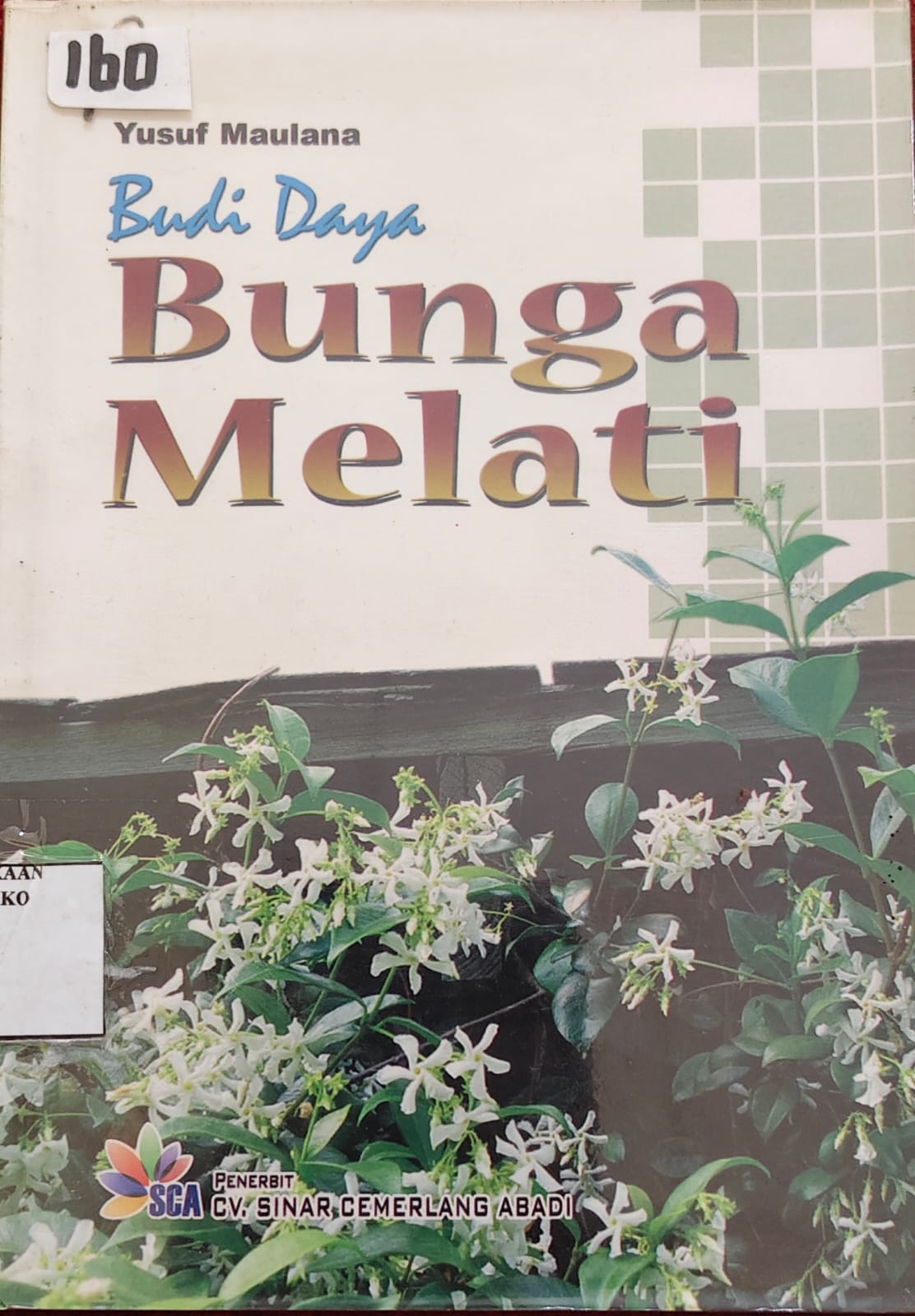 Budi Daya Bunga Melati