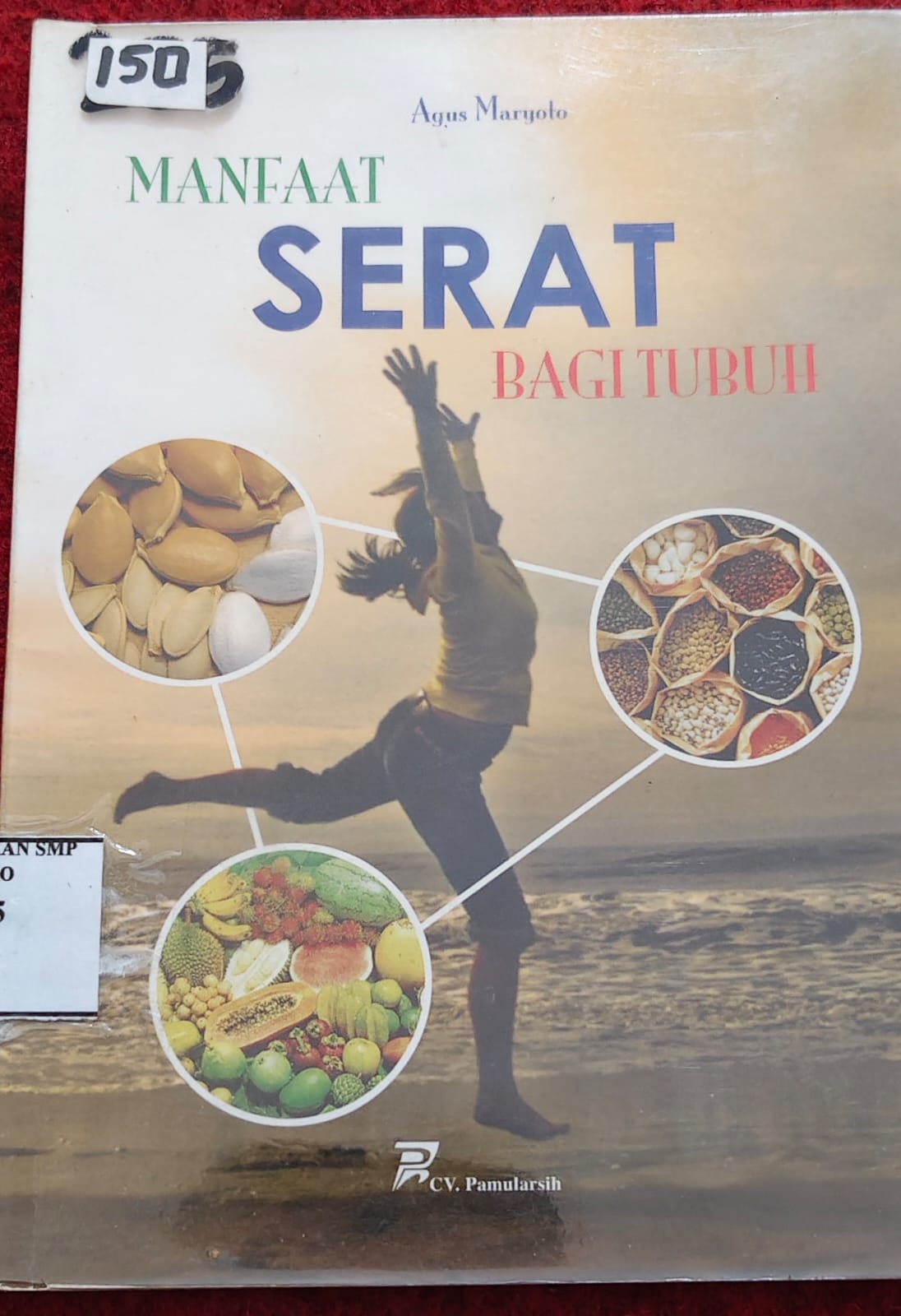 Manfaat  Serat Bagi Tubuh